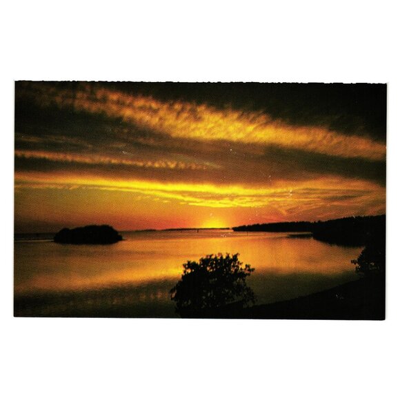 Vintage Postcard Sunset Over Florida Bay Everglades National Park Peter Allen - Picture 1 of 2